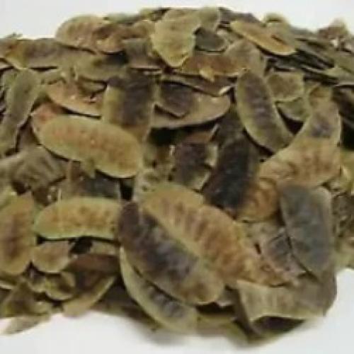 Organic Maki Senna Pods