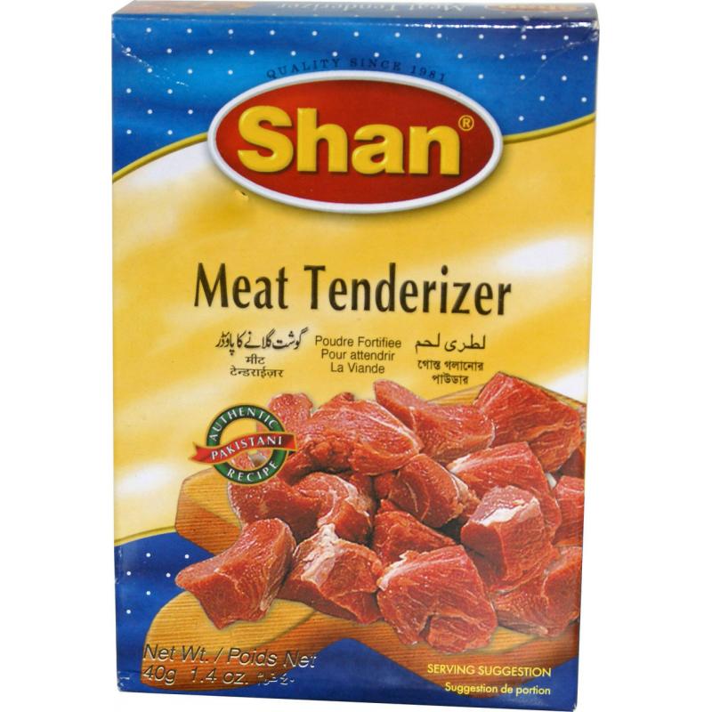 Shan Meat Tenderizer 40 Grams