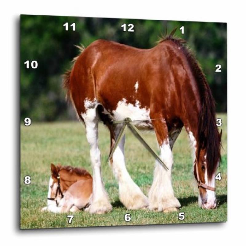 3dRose Clydesdale Mare And Foal horses, Wall Clock, 13 by 13-inch