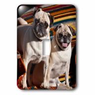 3dRose USA, New Mexico. Two Pugs together on Southwestern blankets., Single Toggle Switch