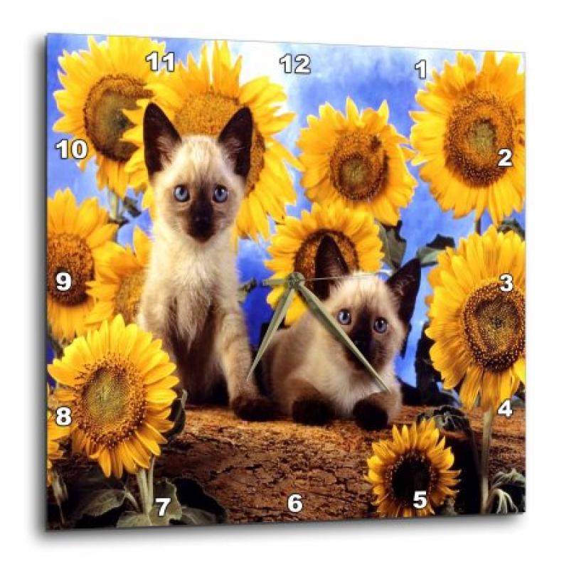 3dRose Adorable Siamese Kittens n Sunflowers, Wall Clock, 10 by 10-inch