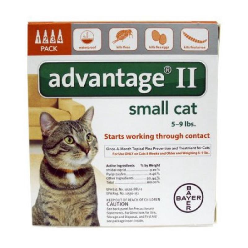 Advantage II Orange Cat, 4 Months