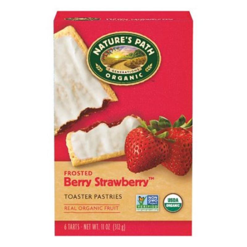 Nature&#039;s Path Organic Toaster Pastries Frosted Berry Strawberry - 6 CT