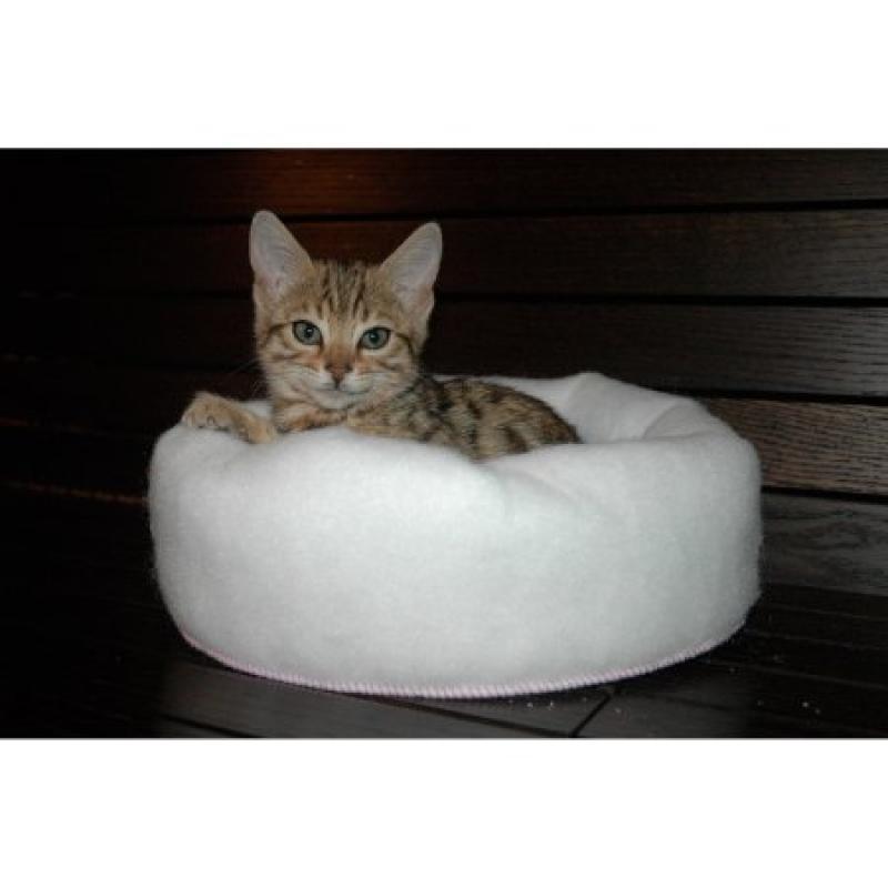 Mysterious Mini Kitten Kuddler Cat Bed