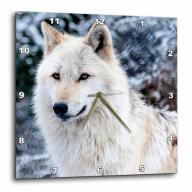 3dRose ROCKY MOUNTAIN GRAY WOLF , Wall Clock, 15 by 15-inch