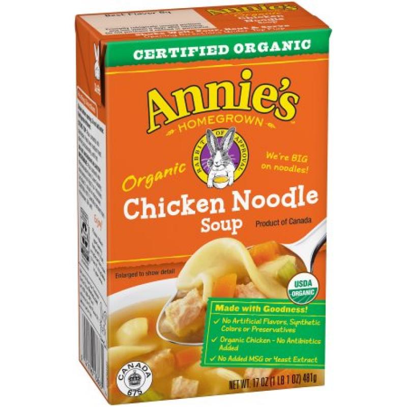 Annie&#039;s® Organic Chicken Noodle Soup 17 oz. Aseptic Pack