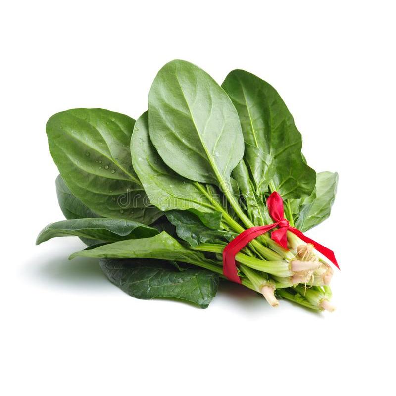 Bunch Spinach