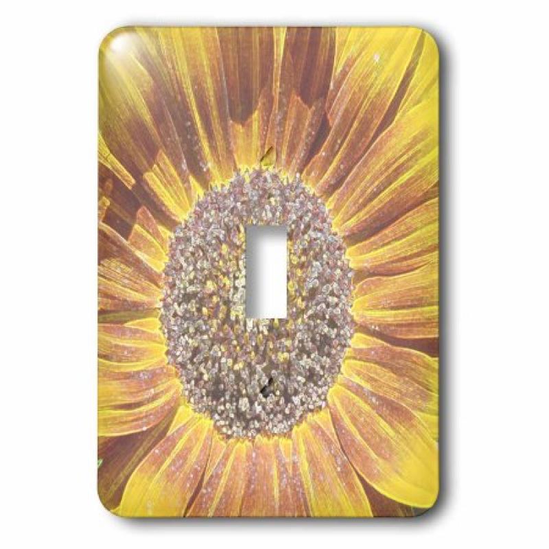 3dRose Crystal Colored Sunflower Art Flowers Designs Inspired by Nature, Single Toggle Switch