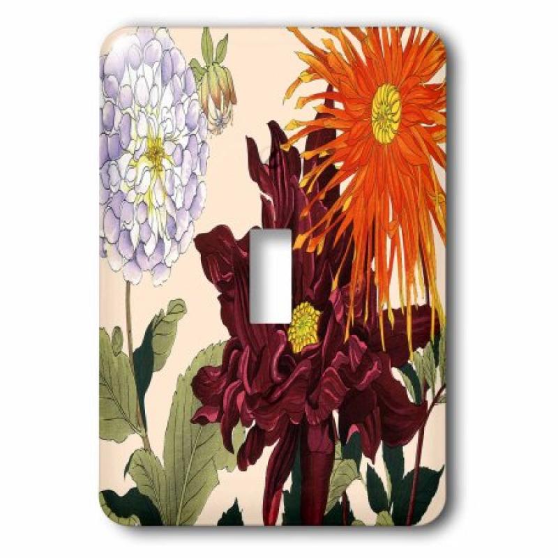 3dRose Large Colorful Dahlias in Light Lavender, Burgundy and Orange, Double Toggle Switch