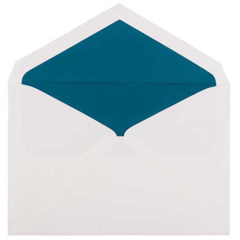 JAM Paper Foldover Card and Envelope Stationery Sets, Large, 5 1/2 x 7 3/4, Blue Border, 50/pack