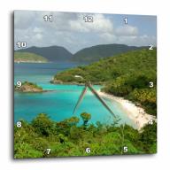 3dRose USVI, St. John, Trunk Bay, Virgin Islands NP-CA37 CMI0147 - Cindy Miller Hopkins, Wall Clock, 10 by 10-inch