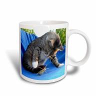 3dRose Predator - animal, moggie, tabbies, tabby cat, cat, cats, cute, Ceramic Mug, 15-ounce