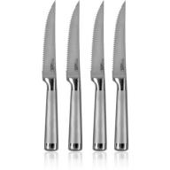 Ragalta 4-Piece Forged Stainless Steel Steak Knives, PLKS-2200