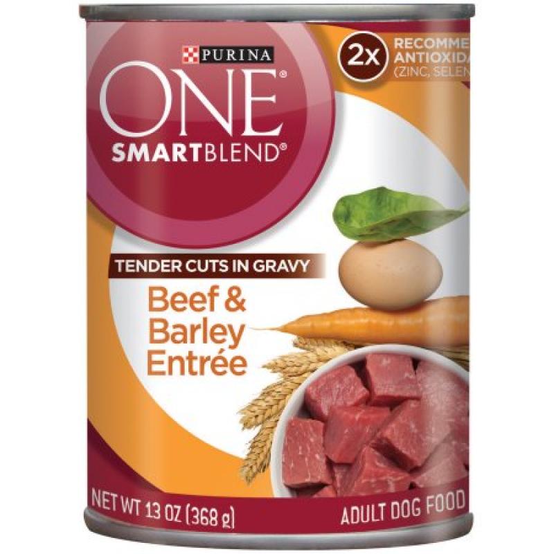 Purina ONE SmartBlend Tender Cuts in Gravy Beef & Barley Entree Adult Dog Food 13 oz. Can