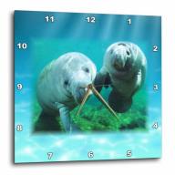3dRose 2 Manatees looking At You, Wall Clock, 15 by 15-inch