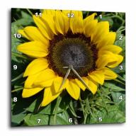 3dRose sunflower, Wall Clock, 10 by 10-inch