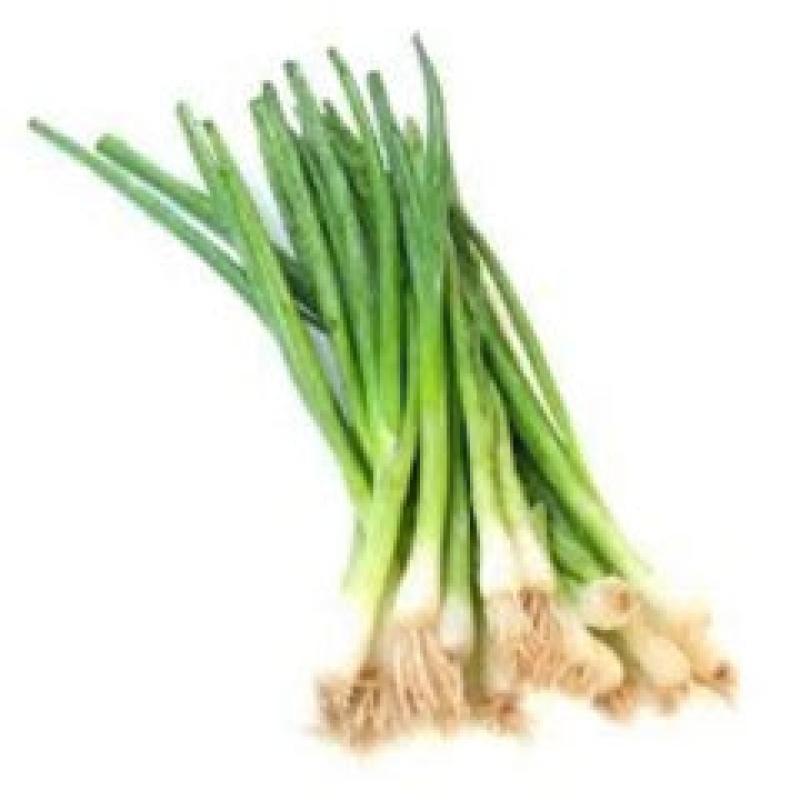 Green Onion (Medium )