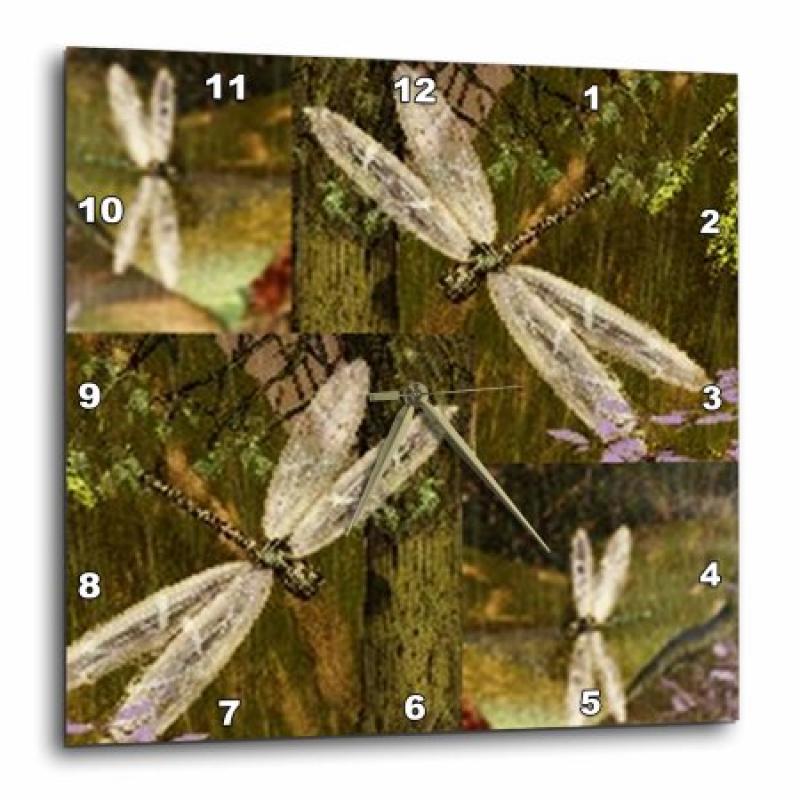3dRose Dragonflies Graphic Design Dragonflies, Wall Clock, 10 by 10-inch