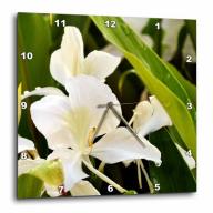 3dRose A water drop on the tip of Hawaiian Ginger Flower, Wall Clock, 13 by 13-inch