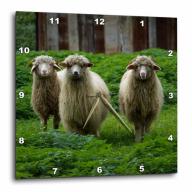 3dRose Three sheep, Wall Clock, 13 by 13-inch