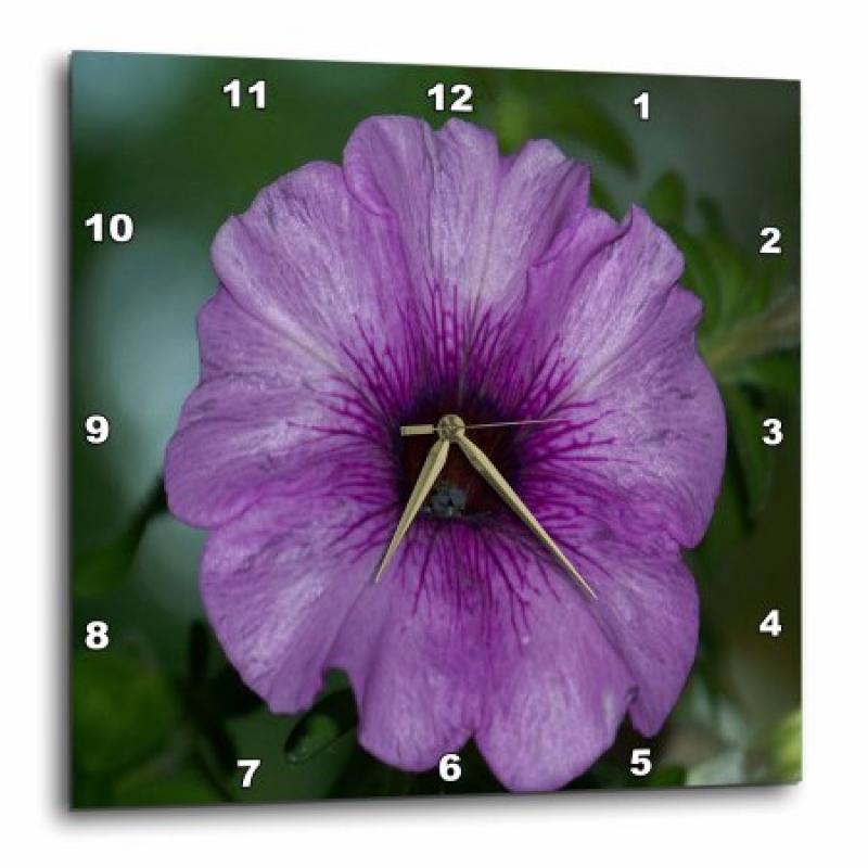 3dRose Purple Petunia , Wall Clock, 13 by 13-inch