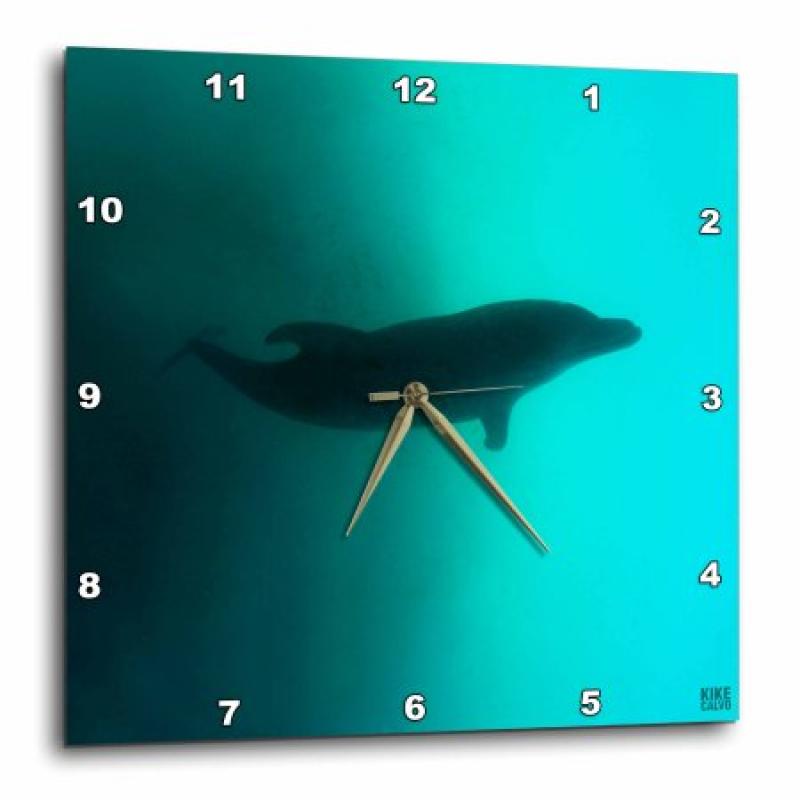 3dRose Bottlenose dolphin , Wall Clock, 15 by 15-inch