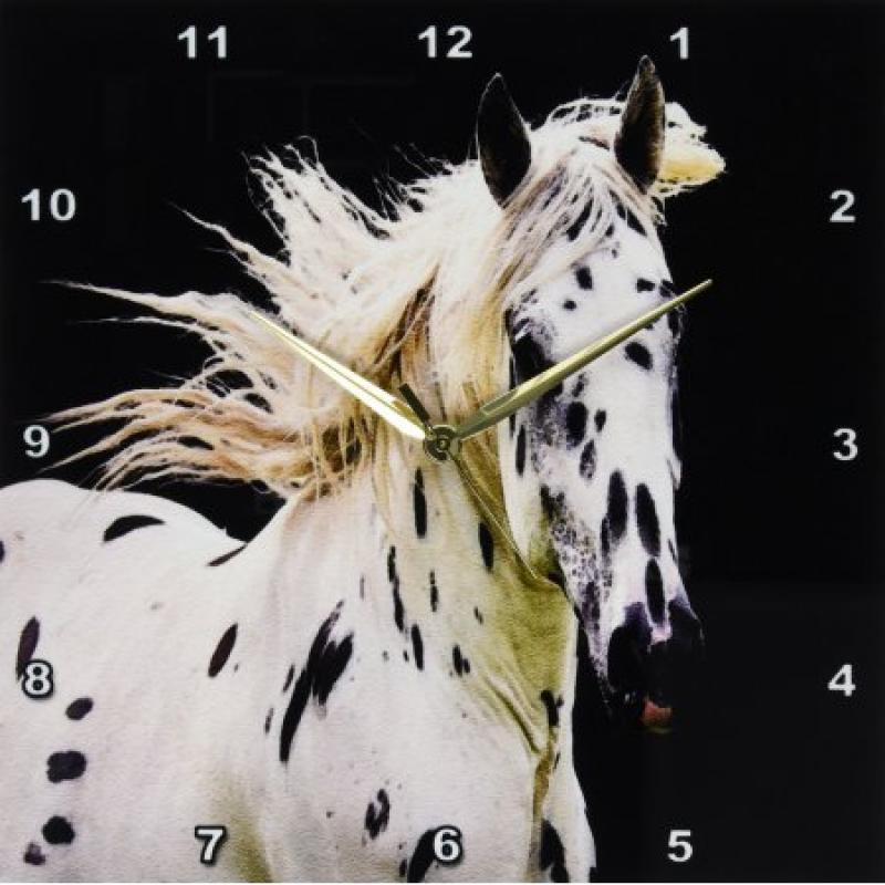 3dRose Beautiful Appaloosa Horse, Wall Clock, 13 by 13-inch