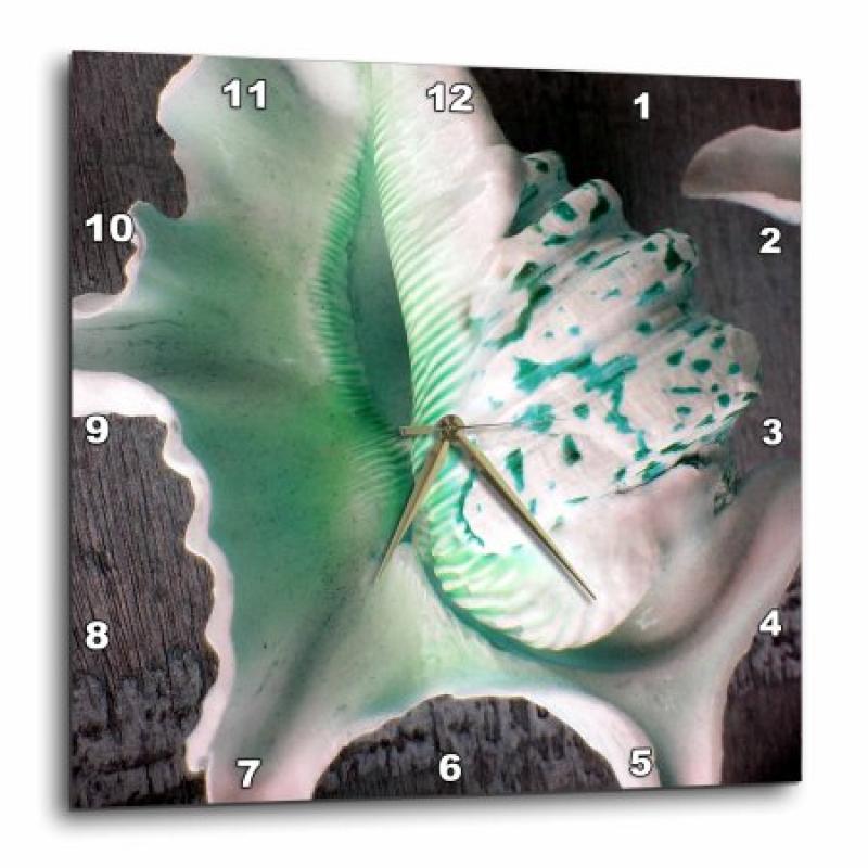 3dRose Green Speckled Sea Shells , Wall Clock, 13 by 13-inch