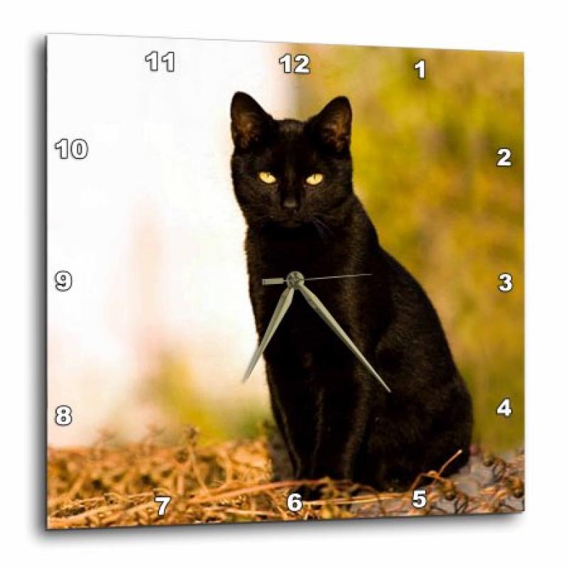 3dRose Black Cat, Wall Clock, 13 by 13-inch