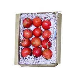Pomegranate (Xl ) Box