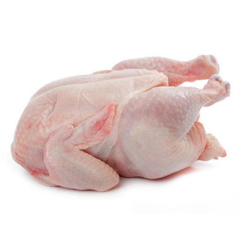 Halal Chicken Whole Reg
